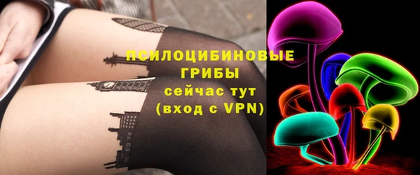 ПСИЛОЦИБИНОВЫЕ ГРИБЫ Лихославль
