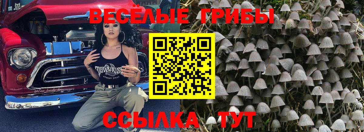 Ртищево  наркота  Вход с VPN  Псилоцибиновые грибы мухоморы 