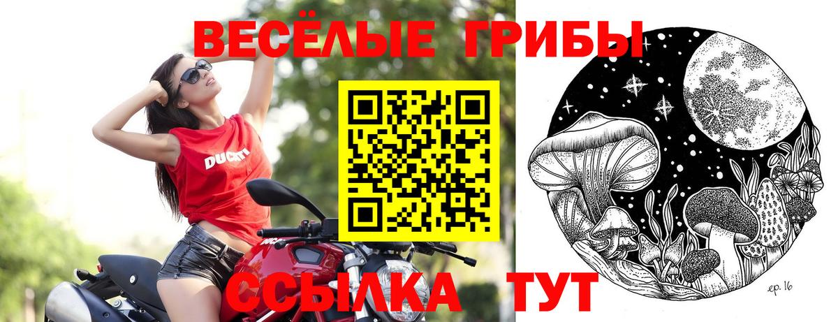 Псилоцибиновые грибы Cubensis Ртищево