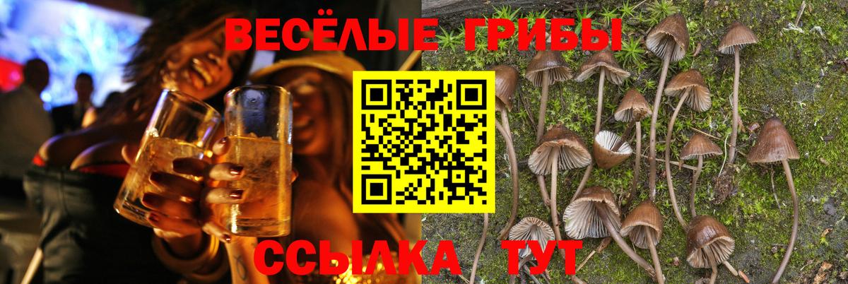 Псилоцибиновые грибы Magic Shrooms  Ртищево 